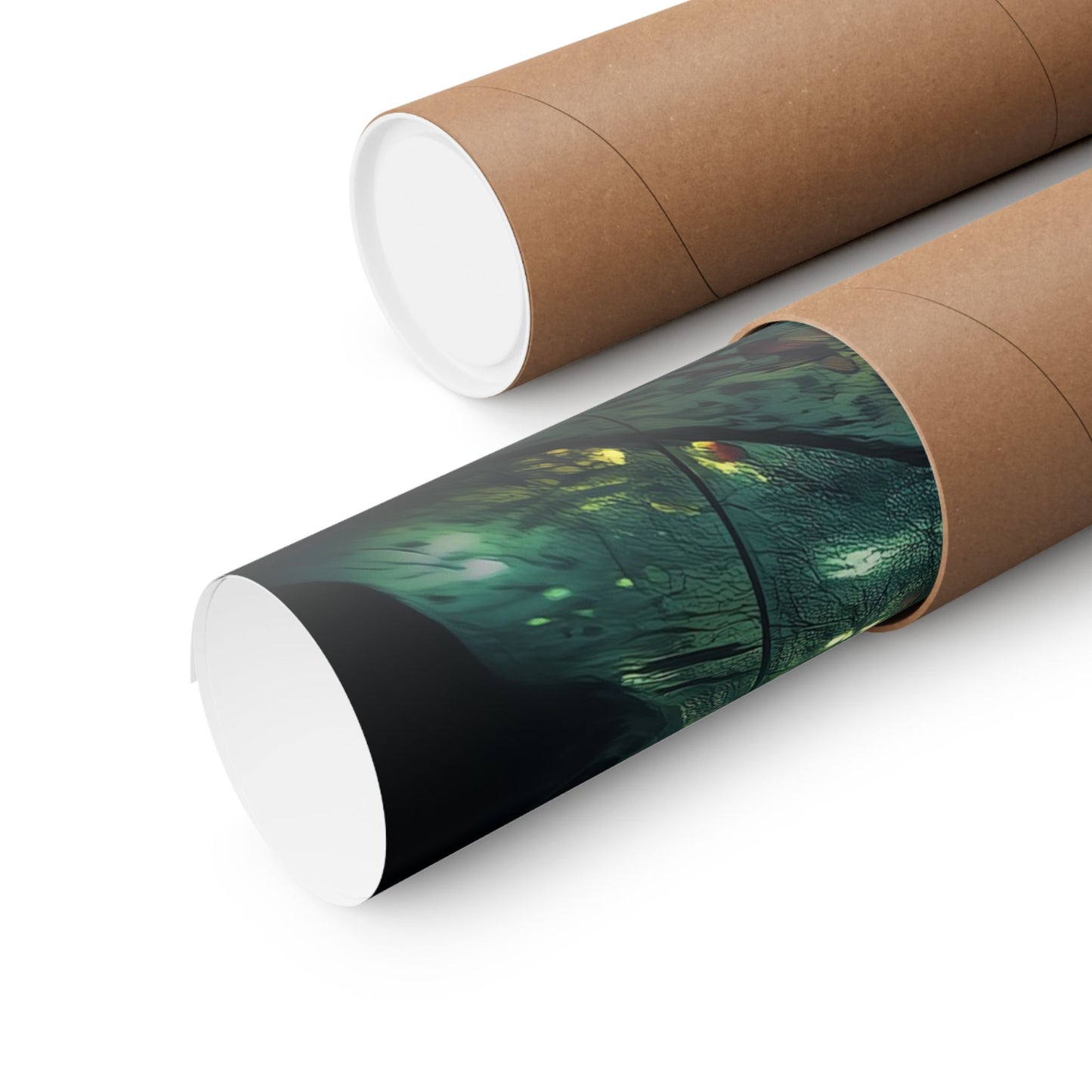 Silent Reflection - Poster