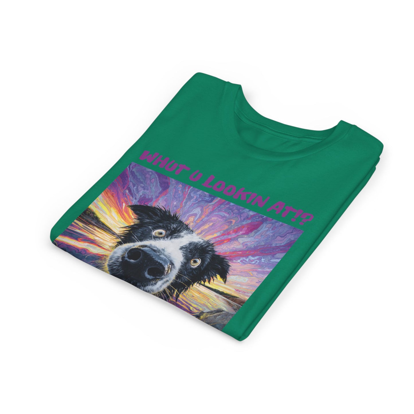 Whut U Lookin At!? Goofy Border Collie Sarcastic Youth Short Sleeve Tee
