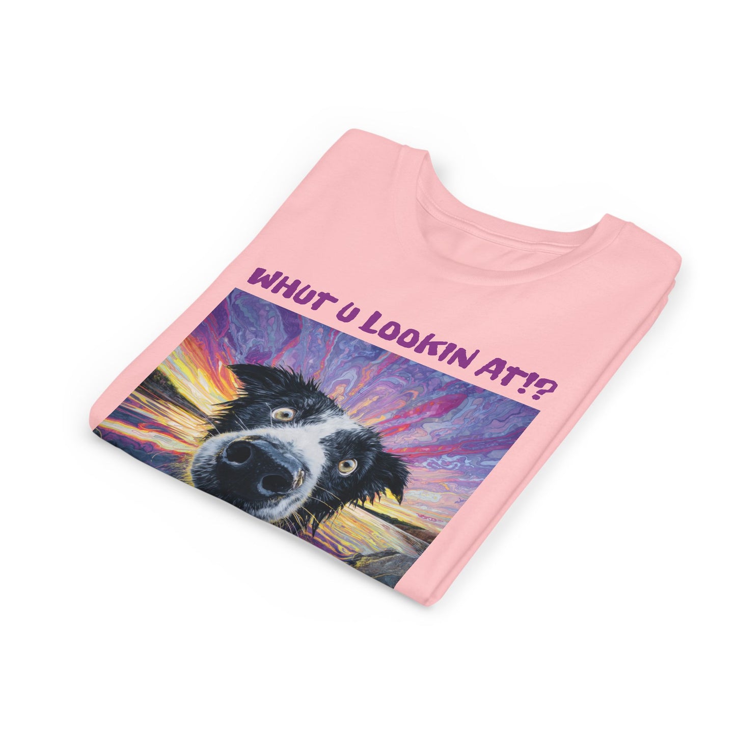 Whut U Lookin At!? Goofy Border Collie Sarcastic Youth Short Sleeve Tee