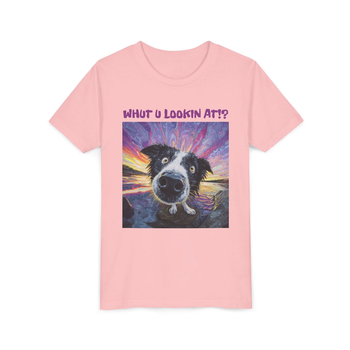 Whut U Lookin At!? Goofy Border Collie Sarcastic Youth Short Sleeve Tee