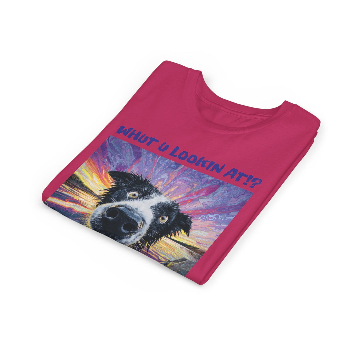 Whut U Lookin At!? Goofy Border Collie Sarcastic Youth Short Sleeve Tee