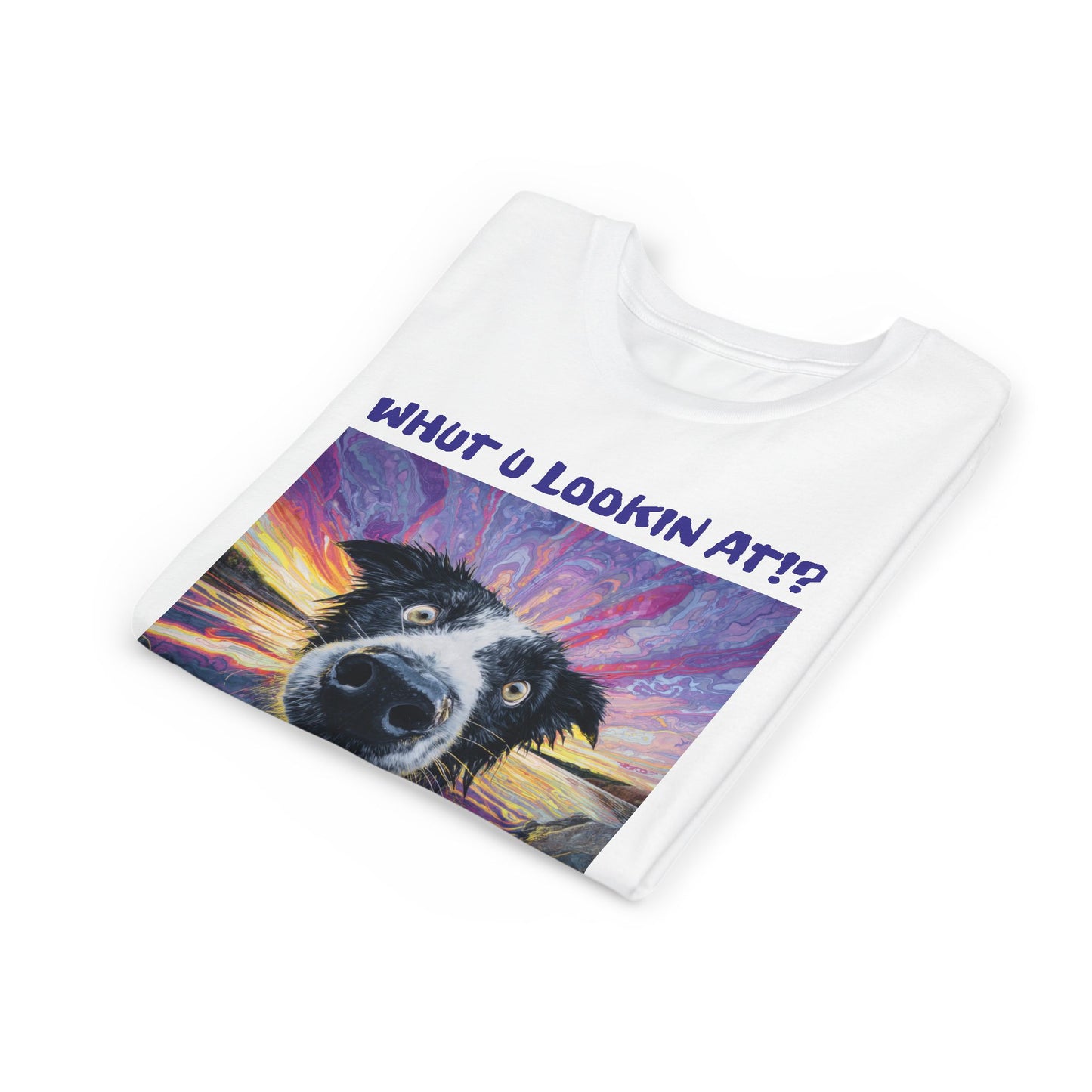 Whut U Lookin At!? Goofy Border Collie Sarcastic Youth Short Sleeve Tee