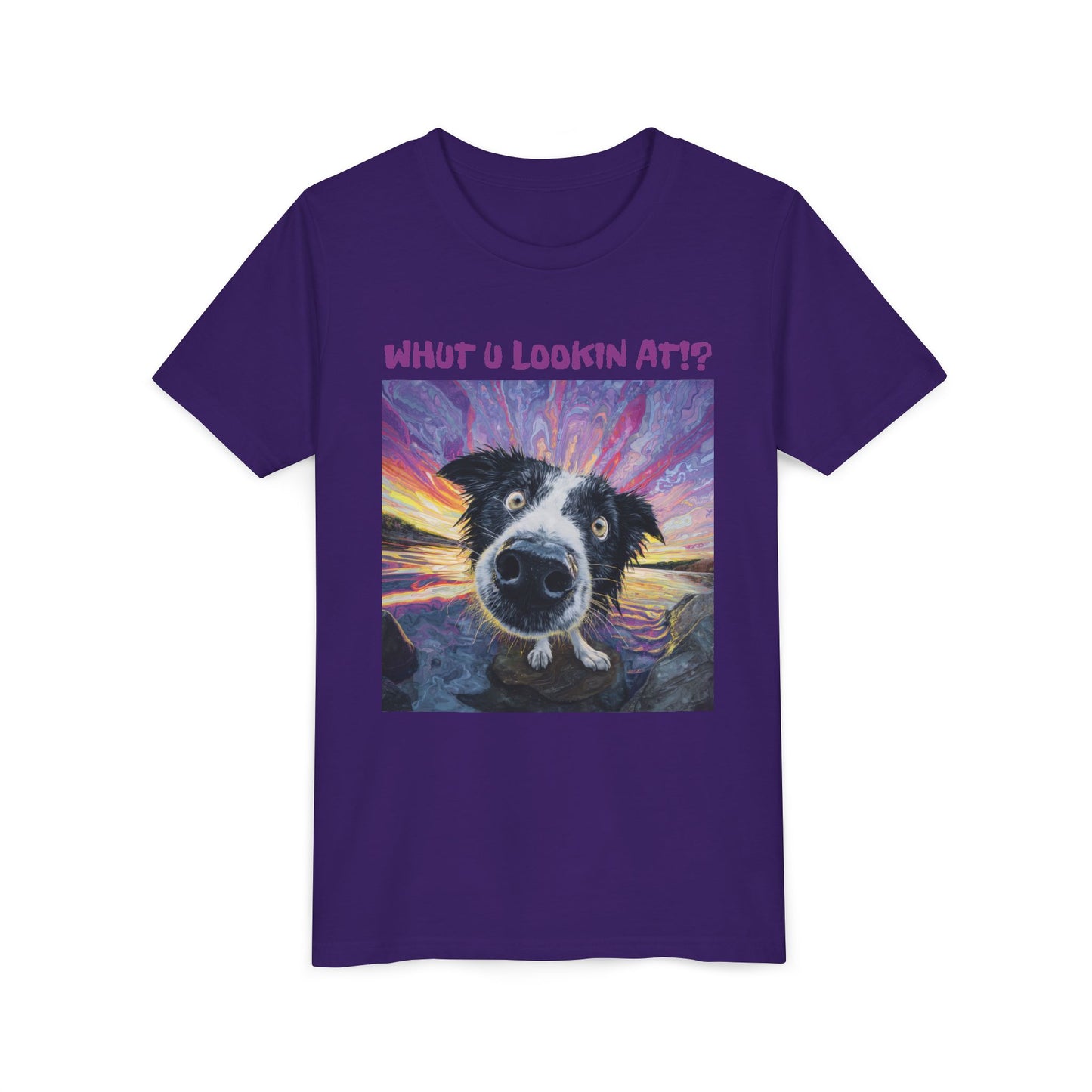 Whut U Lookin At!? Goofy Border Collie Sarcastic Youth Short Sleeve Tee