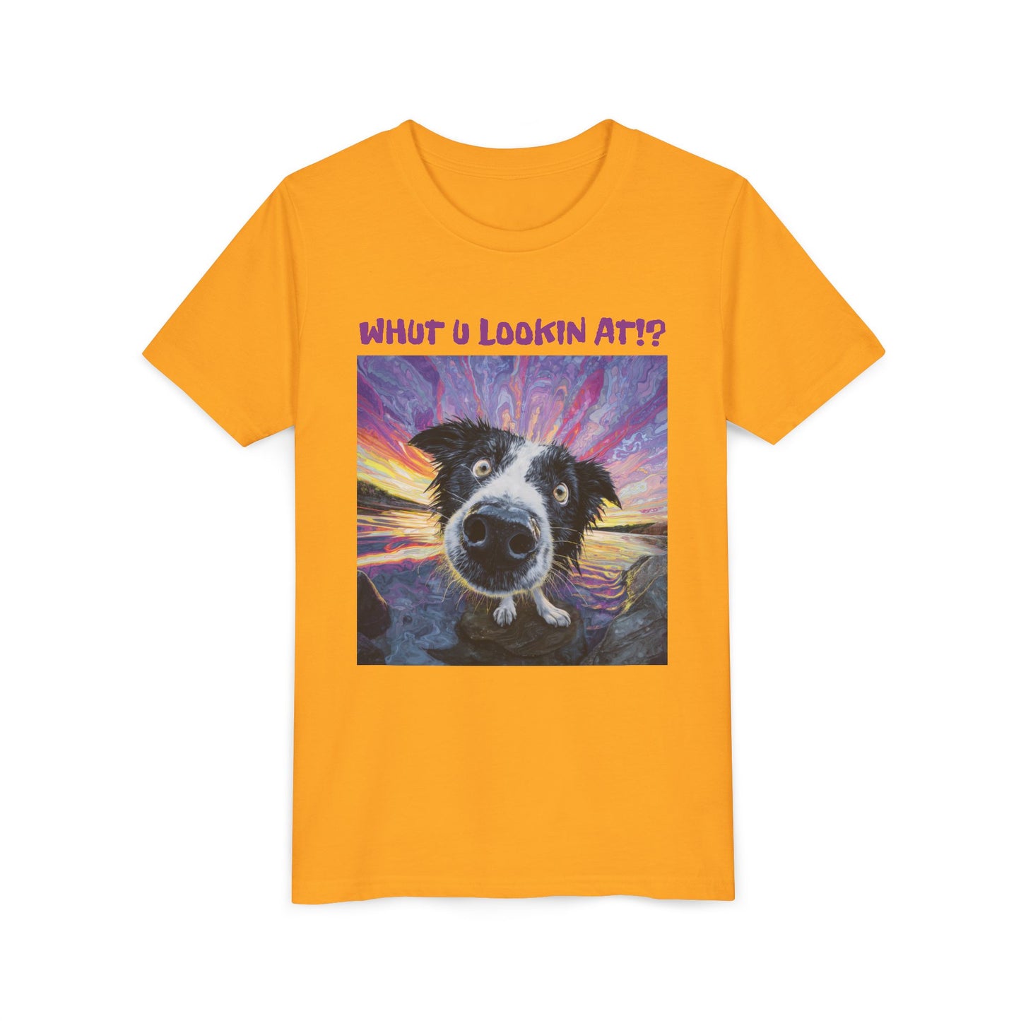 Whut U Lookin At!? Goofy Border Collie Sarcastic Youth Short Sleeve Tee