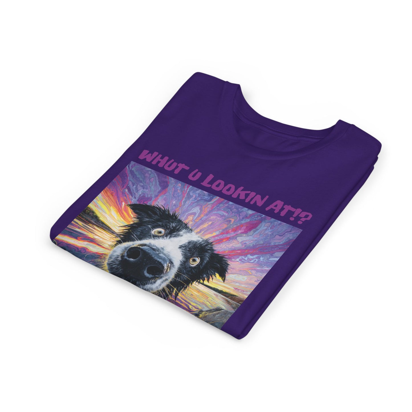 Whut U Lookin At!? Goofy Border Collie Sarcastic Youth Short Sleeve Tee