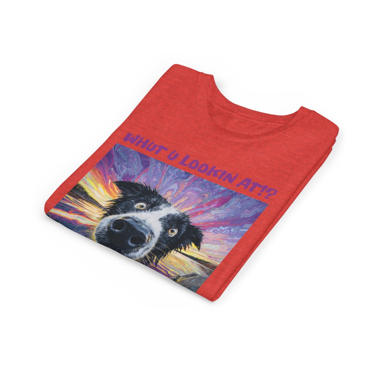 Whut U Lookin At!? Goofy Border Collie Sarcastic Youth Short Sleeve Tee