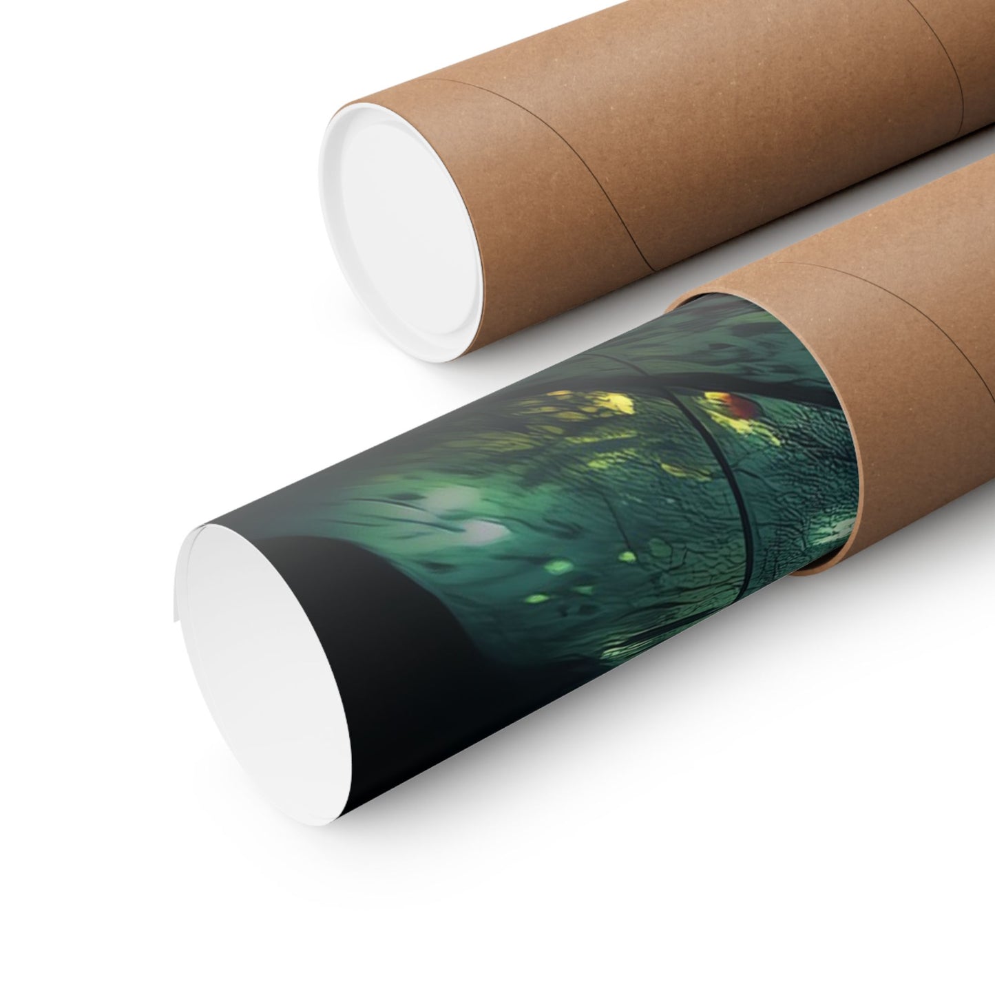 Silent Reflection - Poster