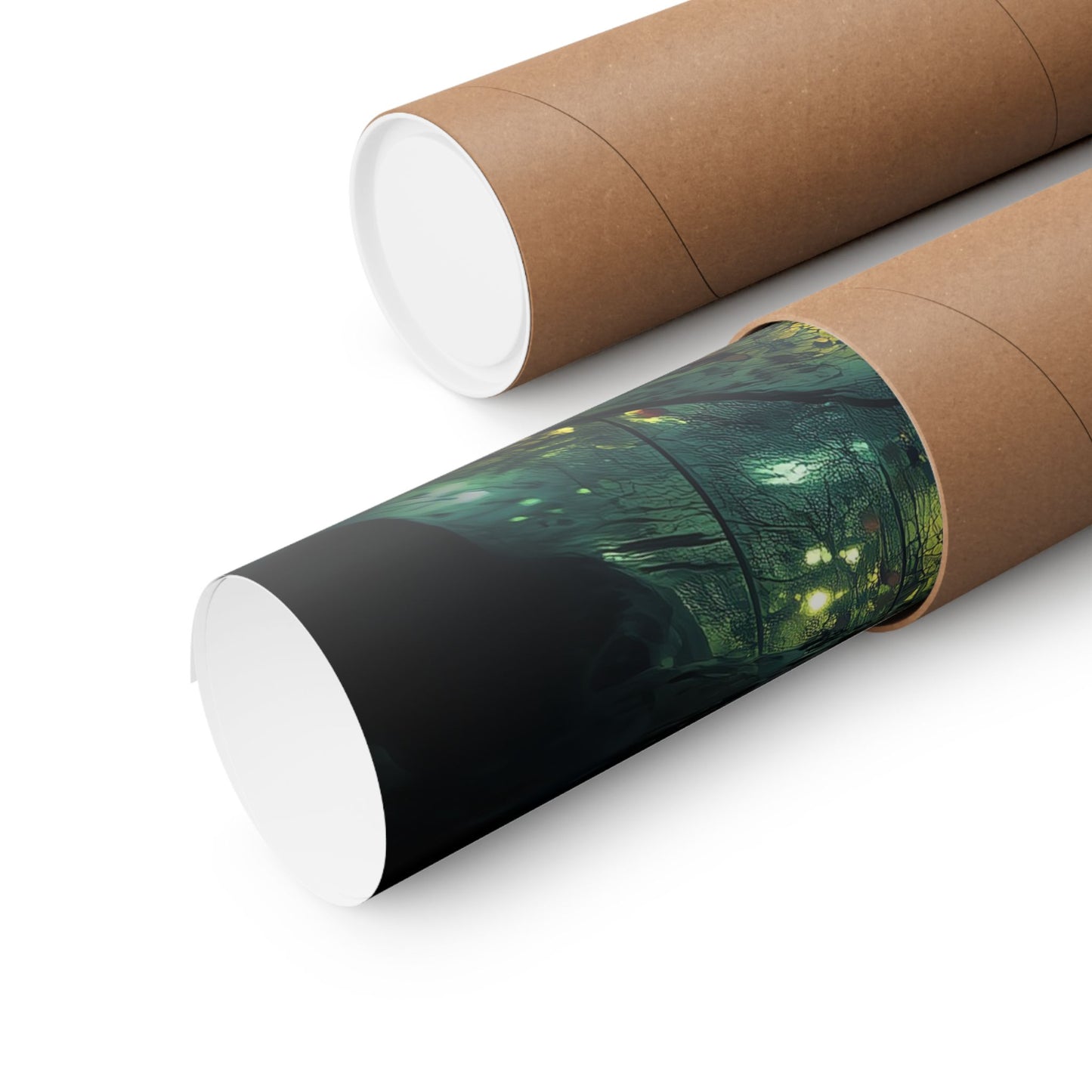 Silent Reflection - Poster
