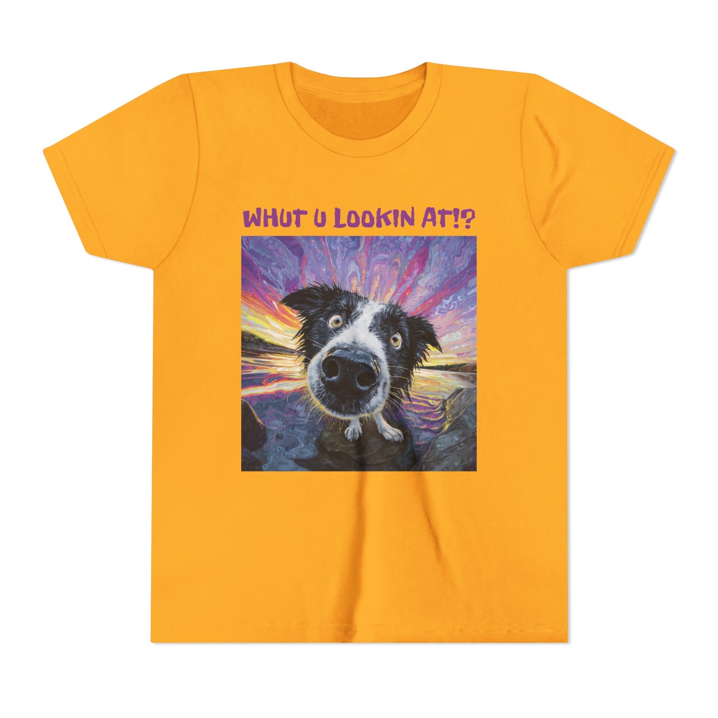 Whut U Lookin At!? Goofy Border Collie Sarcastic Youth Short Sleeve Tee