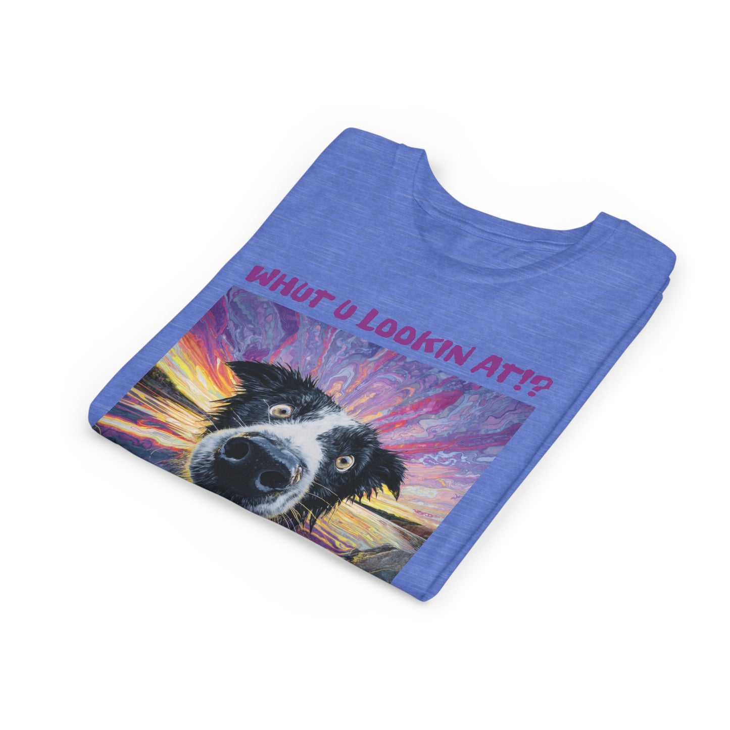 Whut U Lookin At!? Goofy Border Collie Sarcastic Youth Short Sleeve Tee