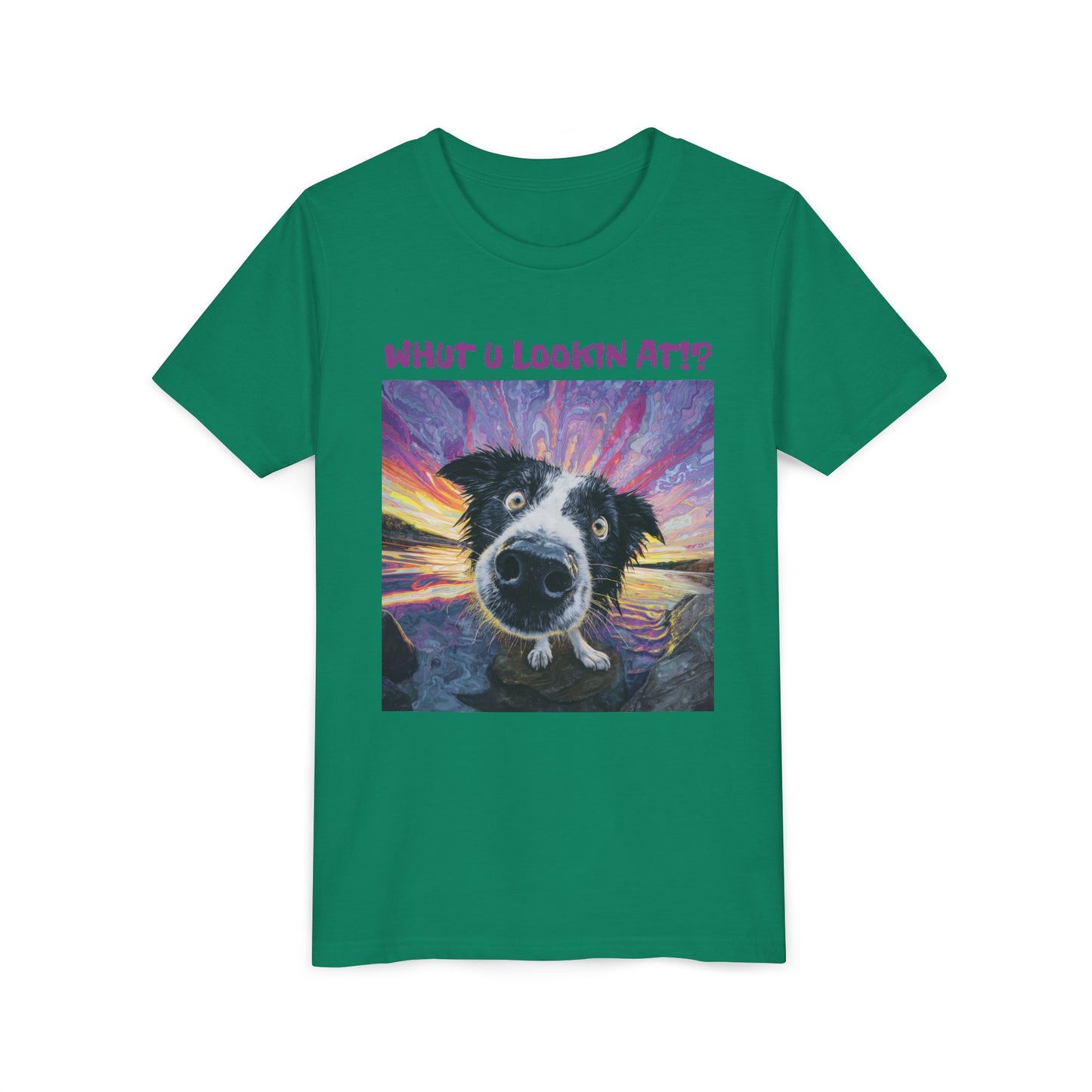 Whut U Lookin At!? Goofy Border Collie Sarcastic Youth Short Sleeve Tee