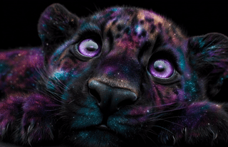 Beyond Earth - Cosmic Trips & Critters