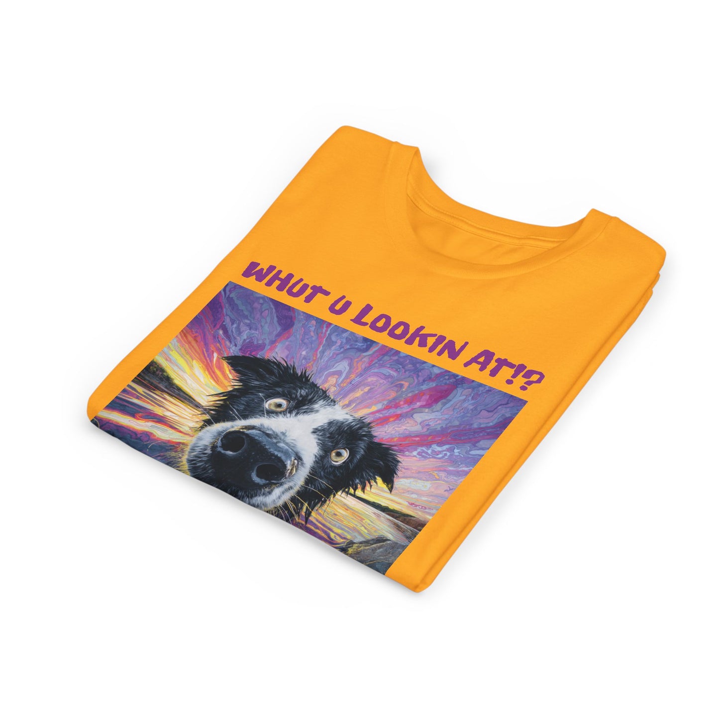 Whut U Lookin At!? Goofy Border Collie Sarcastic Youth Short Sleeve Tee